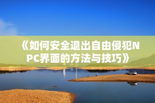 《如何安全退出自由侵犯npc界面的方法与技巧》